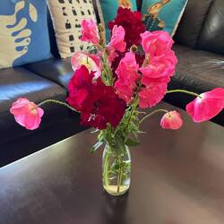 Picked a few flowers from the garden today