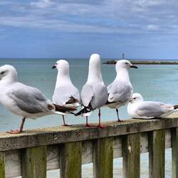 Ein schöner Rücken kann auch entzücken 😀