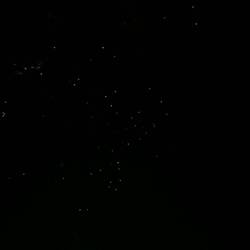 Waitomo Glowworm Caves