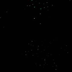 Waitomo Glowworm Caves