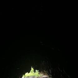Waitomo Glowworm Caves