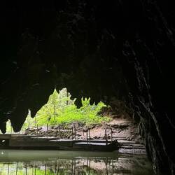 Waitomo Glowworm Caves