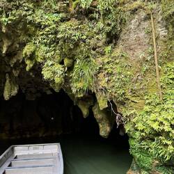 Waitomo Glowworm Caves