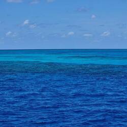 das wunderschöne Riff