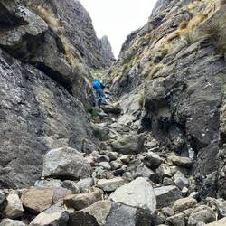 The Gully