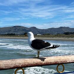 Die ist international 😉