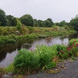 Unser Stellplatz in Kaikōura