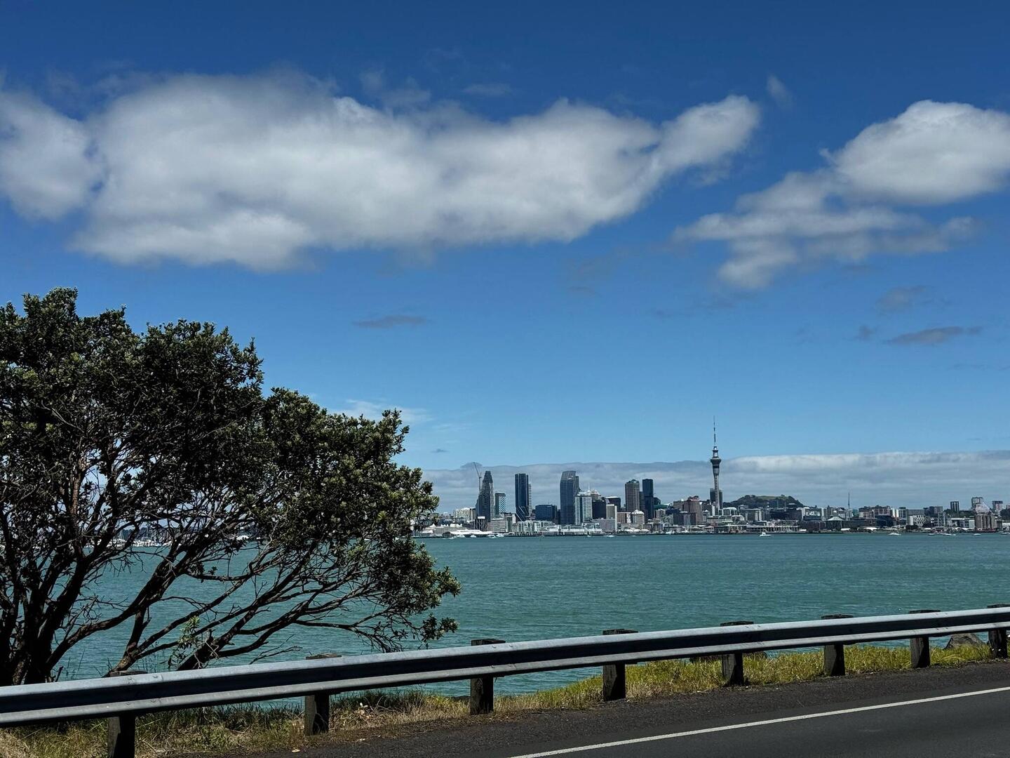 Aussicht auf Auckland
