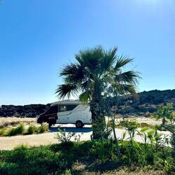 Standortwechsel 100 m