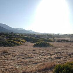 Die Sonne schüttet ihr Licht über uns aus. 😊😊😊