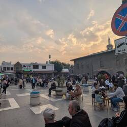 It was actually quite full of life, more so than anywhere else we'd been