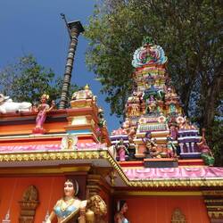 Unser "Vor Ort" Tempel