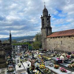 I've seen so many fresh flowers on the graves at all of the churches in Spain for All Saints Day
