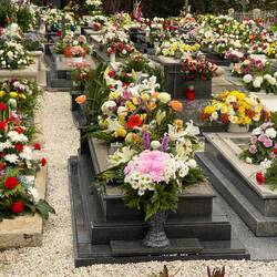 Beautiful fresh flowers to honor loved ones on All Saints day