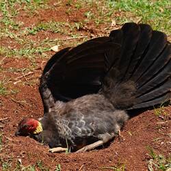 Ich weiß auch nicht, warum er das macht. 🤷🏼‍♀️