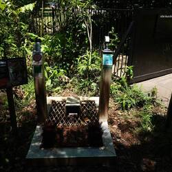 Schuhputzstation vorm Regenwald