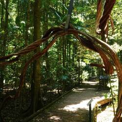 Gut, dass das festgebunden ist