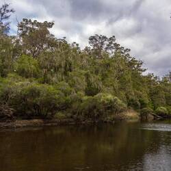 Sue's Bridge Campground