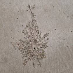 Künstler am Strand ... wahrscheinlich Krabben