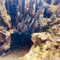 Genau hinschauen - da bin ich in der Hocke hinten drin!😂