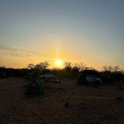 Morgendstund im Busch