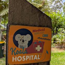 Koala Hospital