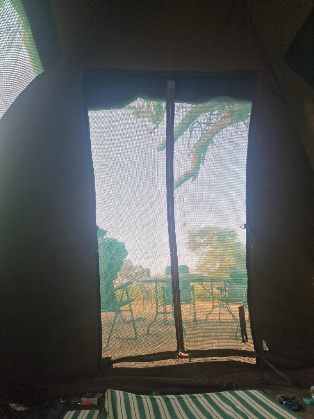 Guten Morgen, Blick beim Aufwecken aus dem Zelt