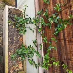 Hmm was ist denn das da;)?