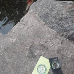 Zum Glück waren es nur kleine Proben, und auch die alkoholfreien war lecker