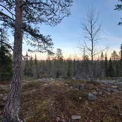 Mit Mama über Stock und Stein....größtenteils eben