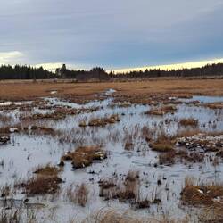 Spaziergang durch die Tundra...in der Hoffnung Rentiere zu sehen
