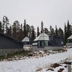 Die Glasiglus waren mir zu teuer. Mama sagt, da hätten wir uns nur geärgert