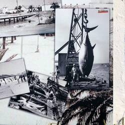 Sancti Pétri used to be an important fishing town, fish has gone much smaller since the 1950's