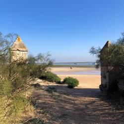 Inuk somewhere in the background