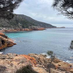 Secret Bay