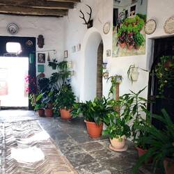 private gardens were well kept