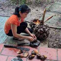 Opening a water coconut