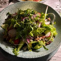 Sehr feiner Salat.