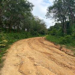 Für die Straße haben wir den Roller stehen lassen😂