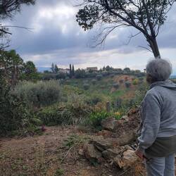 Maria surveying the fruit trees
