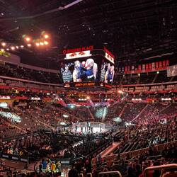 UFC Fight night