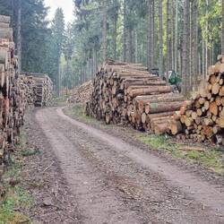 ...muss nr ä weng Holz nei (s Karzl, Episode 4)