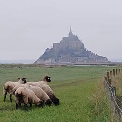 Den lille klippeø Mont Saint Michel - med kirke, kloster og landsby