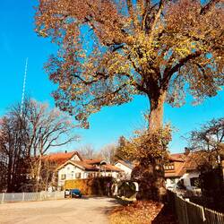 Unterwegs im Dorf