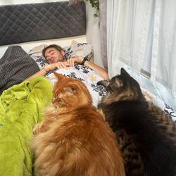 Die zwei Wärmflaschen 🐈🐈‍⬛