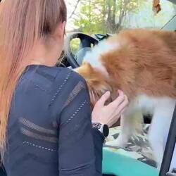 Die Verabschiedungen fielen schwer 🥹