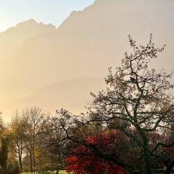Guten Morgen in Nußdorf 🌞
