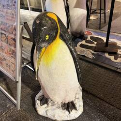 We found the penguin!