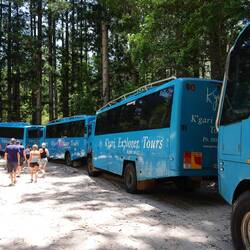 Der vorderste Bus ist unserer 😱