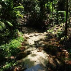 Es gibt viele aus Grund- und Regenwasser gespeiste kleine Bäche mit wahnsinnig klarem Wasser